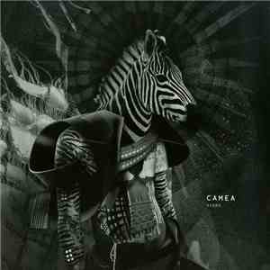 Camea - Signs