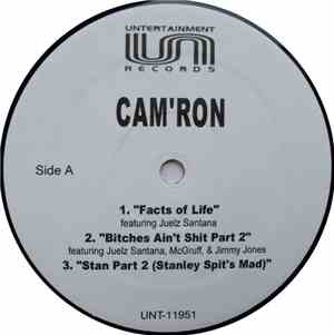Cam'ron - Facts Of Life