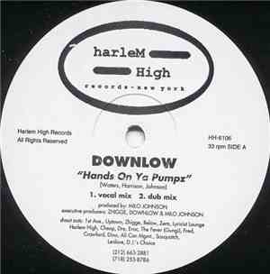 Downlow  / Buddah Nation - Hands On Ya Pumpz / Buddah Nation