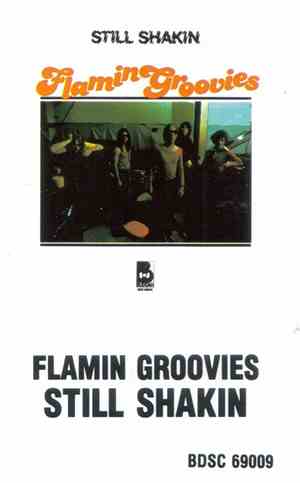 Flamin Groovies - Still Shakin