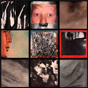 SFN / In Disgust - SFN / In Disgust