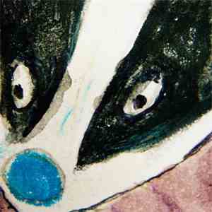 The New Tigers - The Badger
