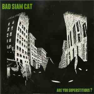 Bad Siam Cat - Are You Superstitious ?