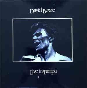 David Bowie - Live In Tampa 2