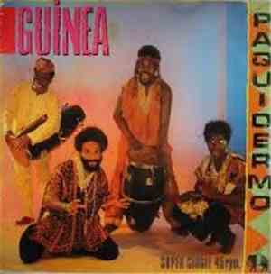Guinea - Paquidermo