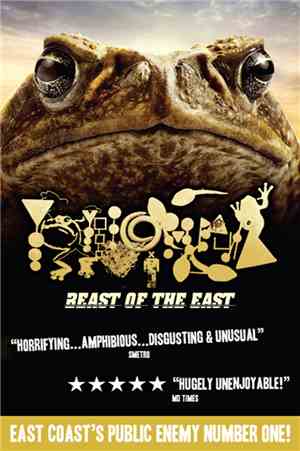 Phyllomedusa - Beast Of The East