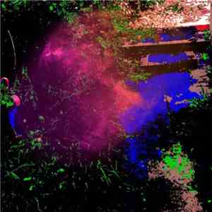 The Legendary Pink Dots - 12 Steps Off The Path