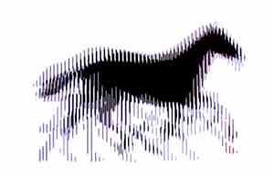 Cheval Scintillantes - Sciences et Voyages
