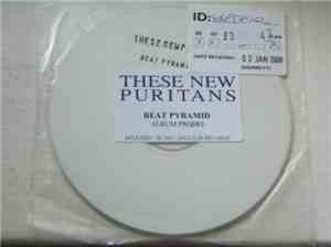 These New Puritans - Beat Pyramid