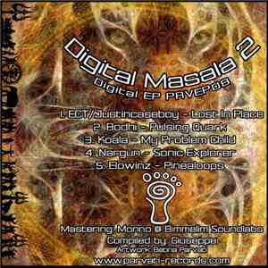 Various - Digital Masala 2