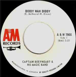 Captain Beefheart & His Magic Band - Diddy Wah Diddy