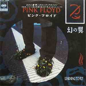 Pink Floyd - Learning To Fly