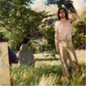 Ariel Pink's Haunted Graffiti - The Doldrums