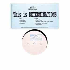 Determinations - This Is Determinations