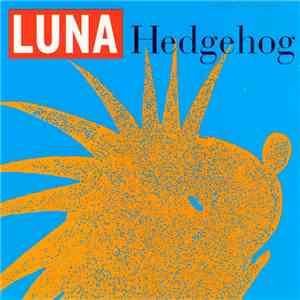 Luna - Hedgehog