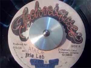 Solgie - Irie Lab