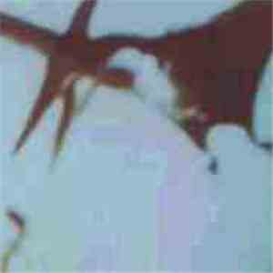 2ndMOUSE - Fractal Pterodactyl