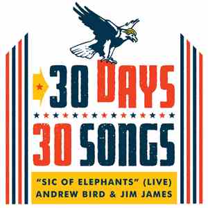 Andrew Bird feat.  Jim James - Sic Of Elephants (Live)