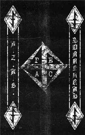 A.Z.A.B. / Sonnenrad - Renegade Blood Insurgence