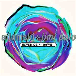 Adamski + Jimi Polo / Adamski + Soho  - Never Goin' Down! / Other The Sky I ...