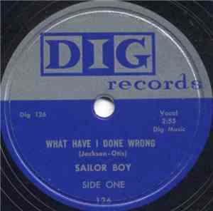 Sailor Boy - What Have I Done Wrong