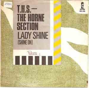 The Horne Section (T.H.S.) - Lady Shine (Shine On)