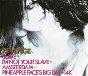 Revenge - Slave