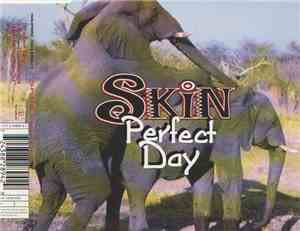 Skin  - Perfect Day