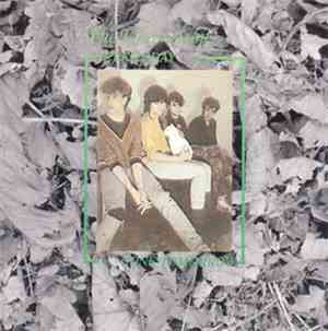 The Chameleons - Here Today... Gone Tomorrow