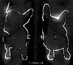30thi3k - CENK