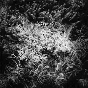 Asteroid Anxiety - Ming Antu