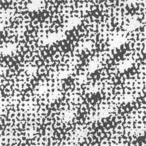 Anla Courtis - Fractal Albur Solenoide