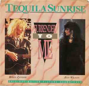Ann Wilson And Robin Zander - Surrender To Me