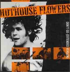 Hothouse Flowers - Don't Go