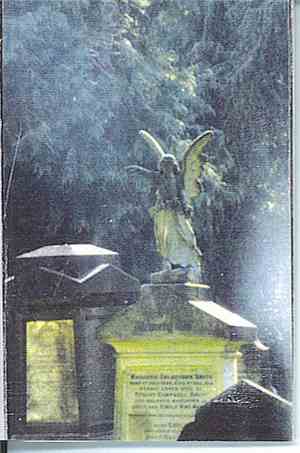 Twilight Angelhood - Midnight In The Garden Of Good And Evil