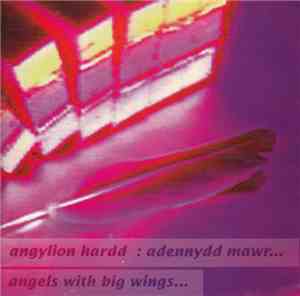 Various - Angylion Hardd : Adennydd Mawr - Angels With Big Wings