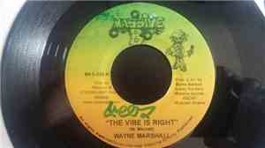 Wayne Marshall - The Vibe Is Right