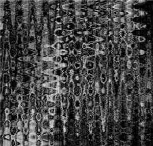 Marginall - Wall #15