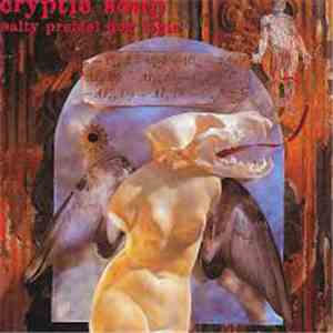 Cryptic Soup - Salty Pretzel Dog Logic