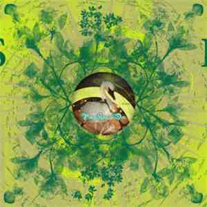 Brian Miller & Kevin Shields  / Pump Kinn & Don  - Virgin Passwords