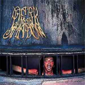 Dark Man Shadow - Tears Of Hate