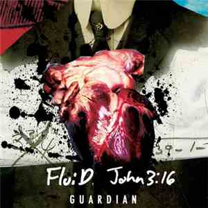 John 3:16, FluiD - Guardian