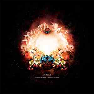 Junius - Reports From The Treshold Of Death