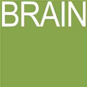 Luke Temple - BRAIN