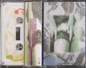 Bruital Orgasme / Endometrium Cuntplow - Romanticism In Everyday Life