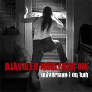 Djävulen Möblerar Om - Universum I En Kub