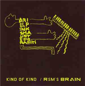 Ariel Pink's Haunted Graffiti - Kind Of Kind / RSM's Brain