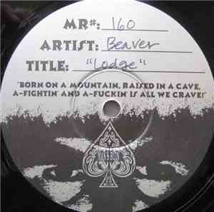 Beaver - Lodge