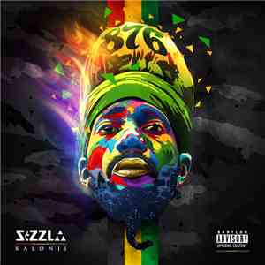 Sizzla - 876