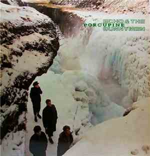 Echo & The Bunnymen - Porcupine